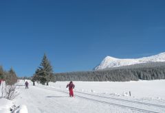Gîte  - Extérieur - Station de ski des Estables