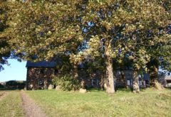 Gîte  - Extérieur - Gîte La Redonde sud automne