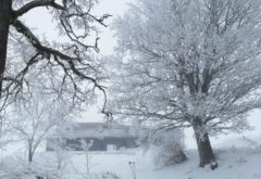 Gîte  - Piscine et spa - bâtiment piscine hiver