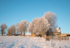 Gîte  - Extérieur - la redonde hiver avec bâtiment piscine